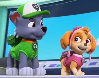 Rocky & Skye | Paw Patrol Relation Ship Wiki | Fandom