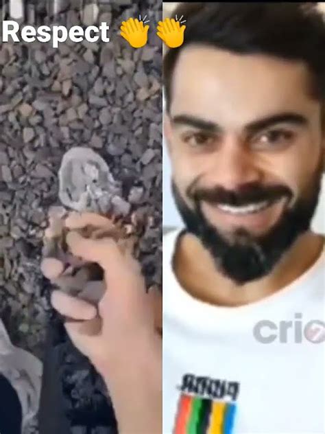 Virat Kohli Reaction Shortsvideo Cricket Kingkohli Viratians