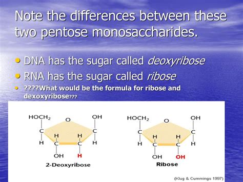 Nucleic Acids Ppt Download