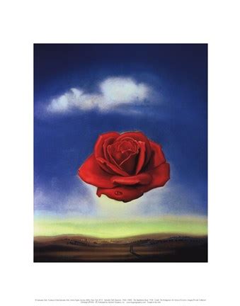 Meditative Rose C 1958 Fine Art Print By Salvador Dali At