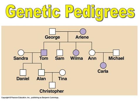 Genetic Pedigree Diagrams Pedigree Chart Analysis Worksheet