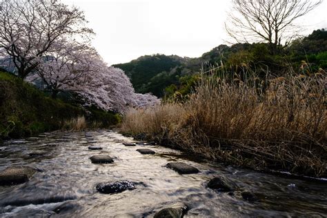 Kasagi Town Kyoto Pref Takashi Nishimura Flickr