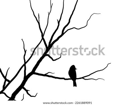 Black Branch Tree Naked Trees Silhouettes Stock Vector Royalty Free 2261889091 Shutterstock