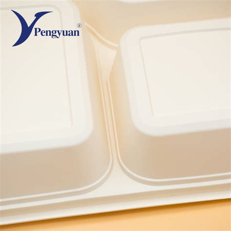 Eco Friendly Corn Starch Disposable Biodegradable Food Container Box