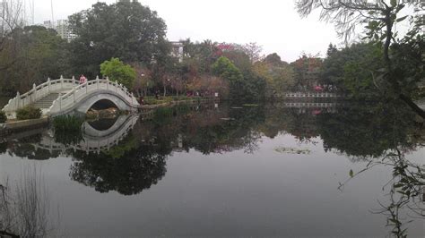 THE 15 BEST Things to Do in Huizhou - 2022 (with Photos) - Tripadvisor