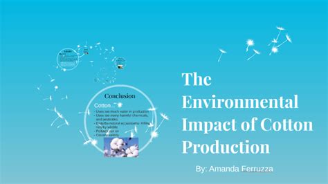 The Environmental Impact of Cotton Production by Amanda Ferruzza on Prezi