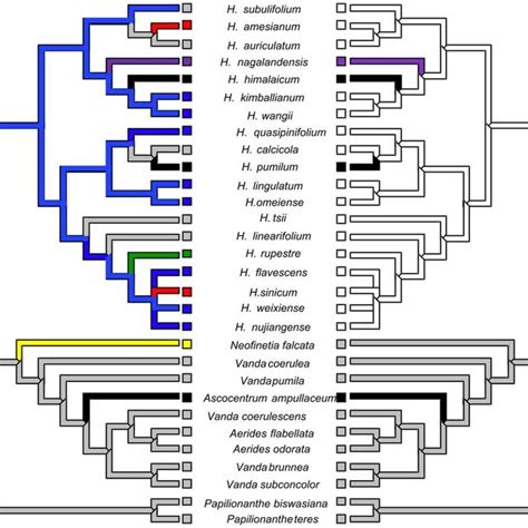 A The Combined Dna Dataset B Dna And Morphology Dataset The