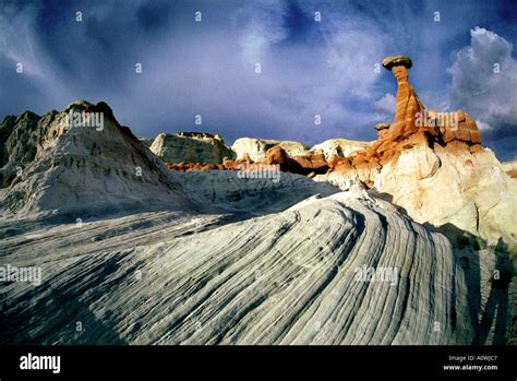 Grand staircase escalante fossils hi-res stock photography and images ...