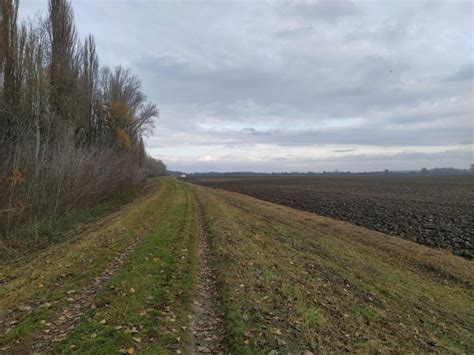 Hnonline Sk Enviroorganiz Cie Sa Ob Vaj Zn Enia Ochrany N Rodn Ch