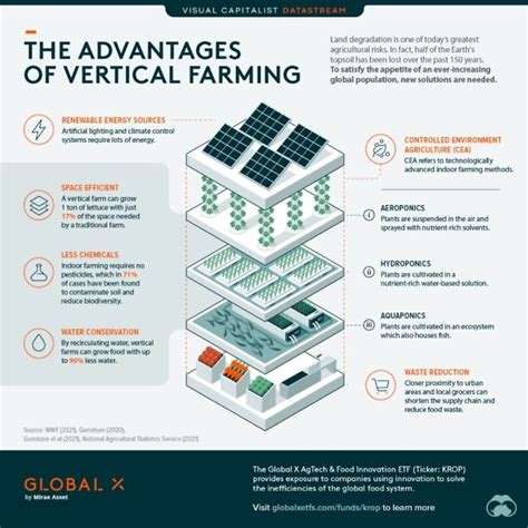 Is Vertical Farming the Future?