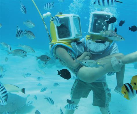 Helmet Diving Stroll In The Depths Of The Bora Bora Lagoon