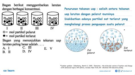 Bagan Berikut Menggambarkan Larutan Dengan Berbagai Konsentrasibagan