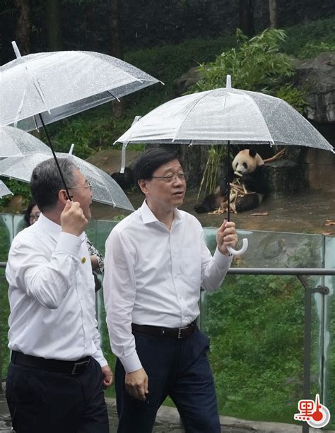 （有片）李家超夫婦到都江堰基地探訪大熊貓 爭取國慶前運抵香港 港聞 點新聞