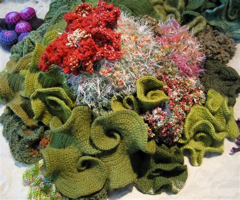 Hyperbolic Crochet Coral Reef Coral Reef Coral Garden Coral