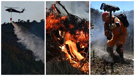 Incendios Forestales En Colombia Parques Naturales Cierran Unotv