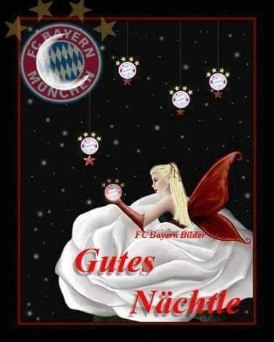 Pin auf Gute Nacht FC Bayern München