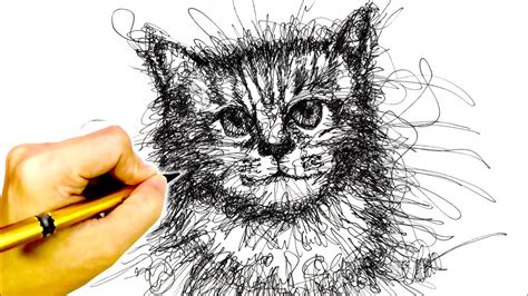 How To Draw Scribble Art Cat Scribble Art Therapy Step By Step