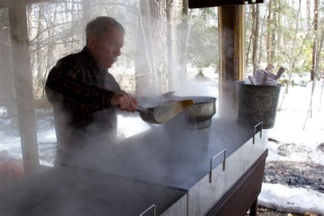 Adventures In Making Maple Syrup Is Audubons Feb 2 First Friday