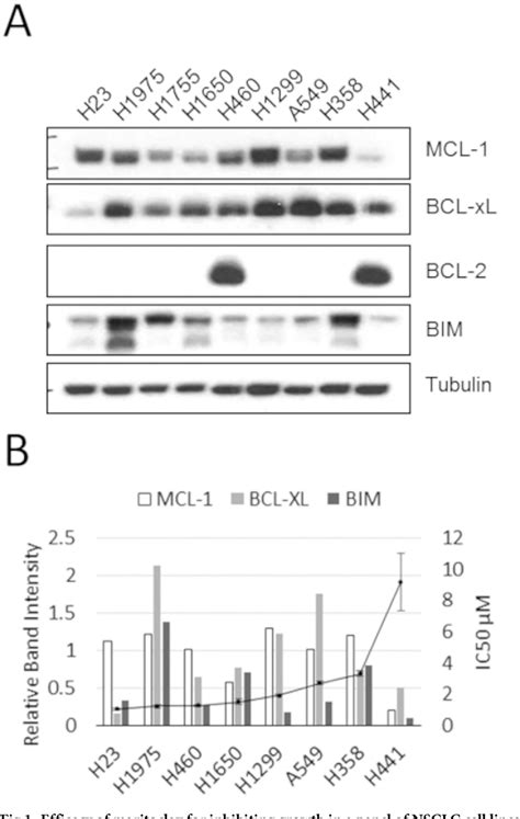 Figure 1 From Egfr Mutations And Akt Phosphorylation Are Markers For Sensitivity To Combined Mcl