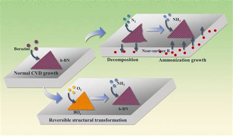 An Ammonization Based Transformation Of Hexagonal Boron Nitride On Ir 111 From Surface To Near