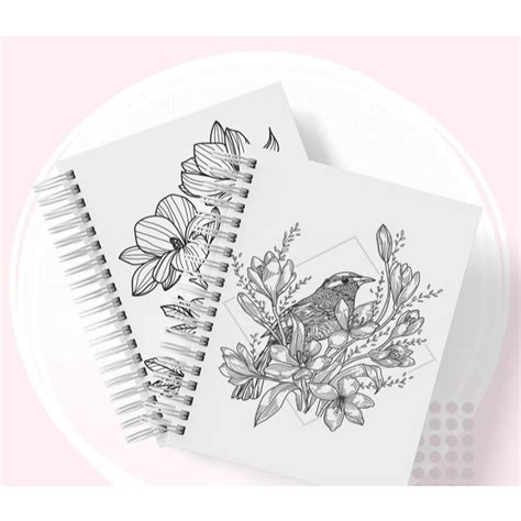 Kit Para Colorir Adulto - kit 100 Desenhos Para Colorir Arteterapia Colorir E Acalmar Adulto ...