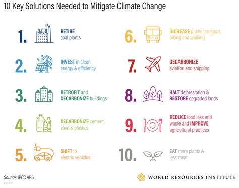 Carbon Neutrality Explained: All You Need to Know | Impactful Ninja