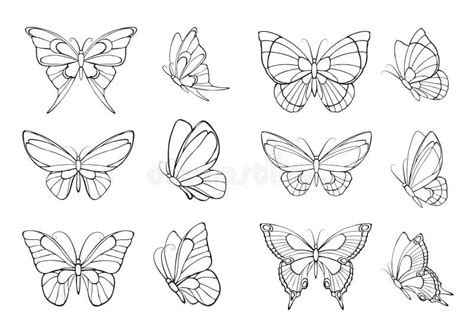 Set Of Hand Drawn Butterflies Stock Vector Illustration Of Collection Butterfly 57471652