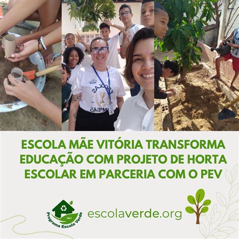 Escola M E Vit Ria Transforma Educa O Projeto De Horta Escolar Em