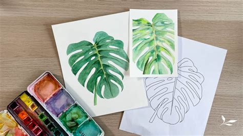 How To Sketch Monstera Deliciosa Free Tutorial Pdf Audrey Ra Design