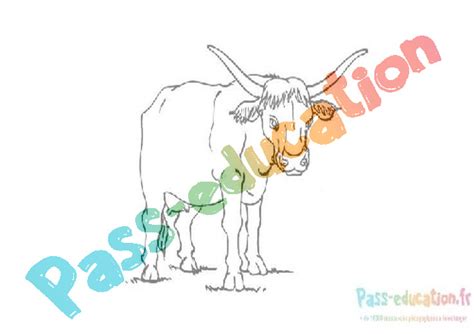 Coloriage Gratuit Vache Pdf Imprimer