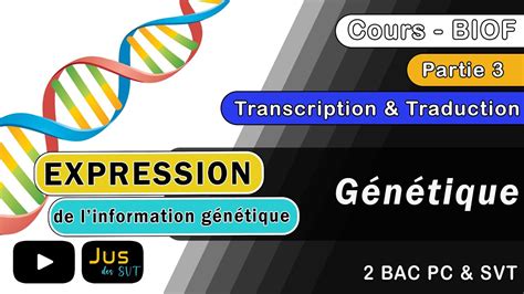 G N Tique Expression De L Information G N Tique Transcription Et