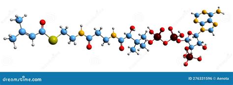 3D Image Of Leucine Skeletal Formula Stock Photography CartoonDealer