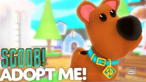 Me Raising Scooby Doo In Roblox Adopt Me YouTube