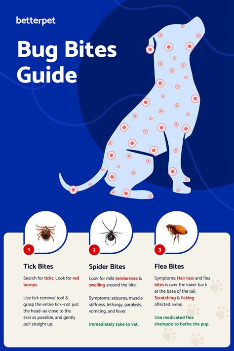 A Guide to Bug Bites on Dogs | Bug bites, Bug bite relief, Insect bite ...