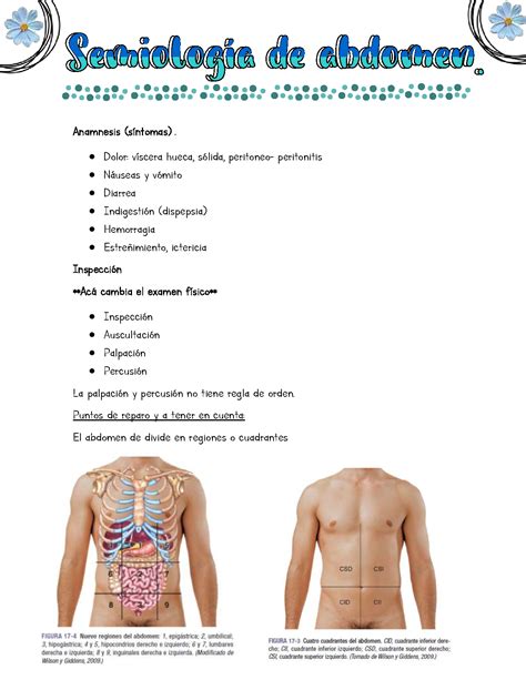 SOLUTION Semiologia De Abdomen Studypool