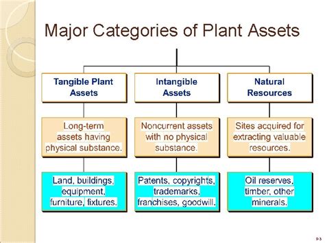 Plant And Intangible Assets Chapter 9 Power Point