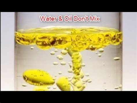 Water And Oil Don T Mix YouTube