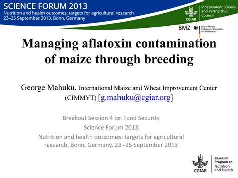 Managing Aflatoxin Contamination Of Maize Through Breeding PPT