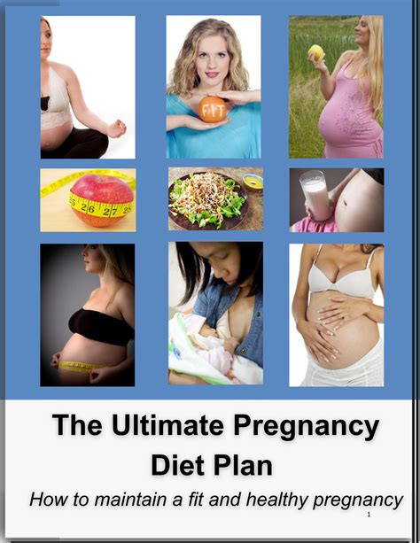 The Pregnancy Diet Plan – BabyStrollerSets