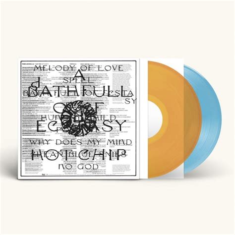 Hot Chip A Bath Full Of Ecstasy Signed Deluxe LP Domino Mart Domino
