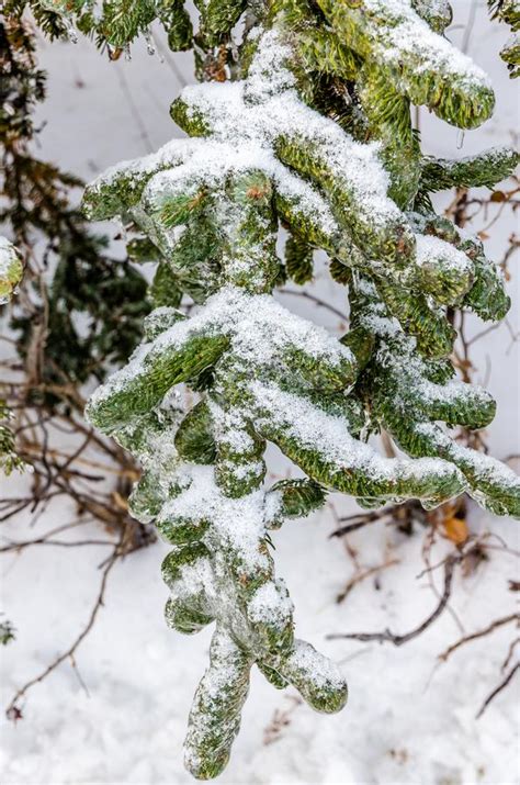 Freezing rain stock photo. Image of abstract, transparent - 103825884