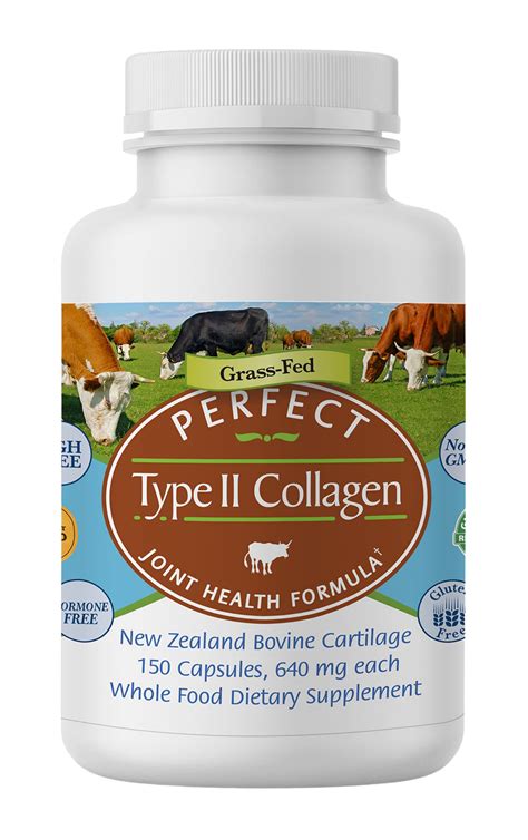 Top Best Type Collagen Supplements In Straight