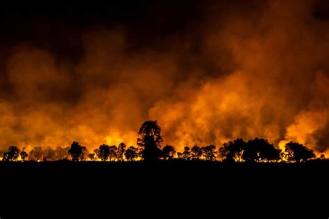 Sumatra Kebanjiran Titik Panas Yang Diduga Kuat Karhutla