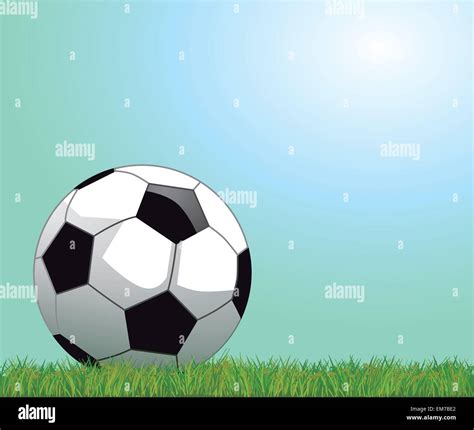 Soccer Ball On Grass Stock Vector Image And Art Alamy