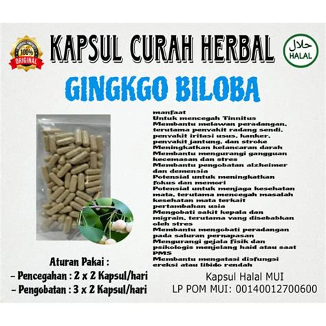 Jual Ginkgo Biloba Extrak Nutrisi Otak Cerdas Isi 200 Shopee Indonesia