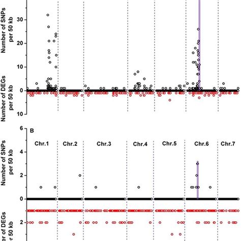 Chromosomal Distributions Of Snps And Degs In The Cucumber Genome The