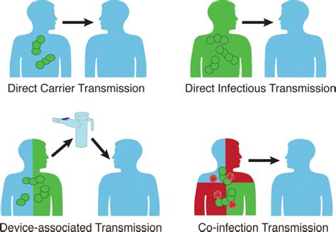 Prevention Strategies For Invasive Pneumococcal Disease Ask The Nurse