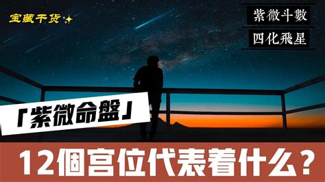 Ep18【紫微斗数基础】【宫位篇1】紫微命盘里的12个宫位代表什么？以真实命盘分析 紫微斗数 宣如心所愿xuanwish 算命