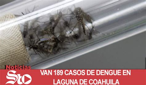 Van Casos De Dengue En Laguna De Coahuila