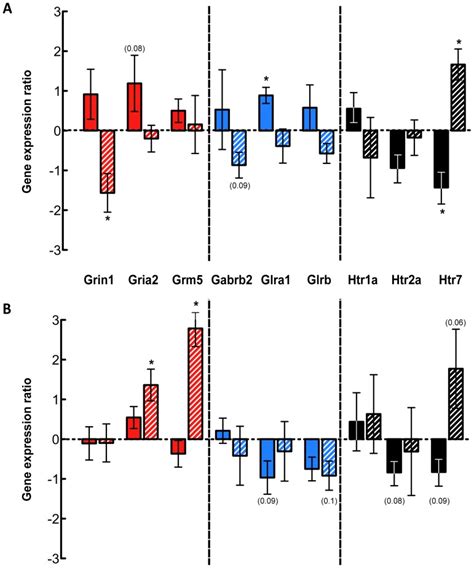 Gene Expression Changes In The Spinal Cords Of P Solid Bars And